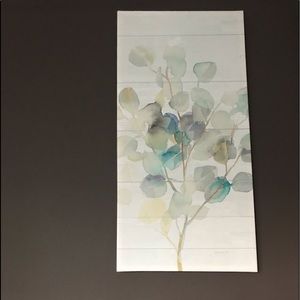 Eucalyptus Canvas